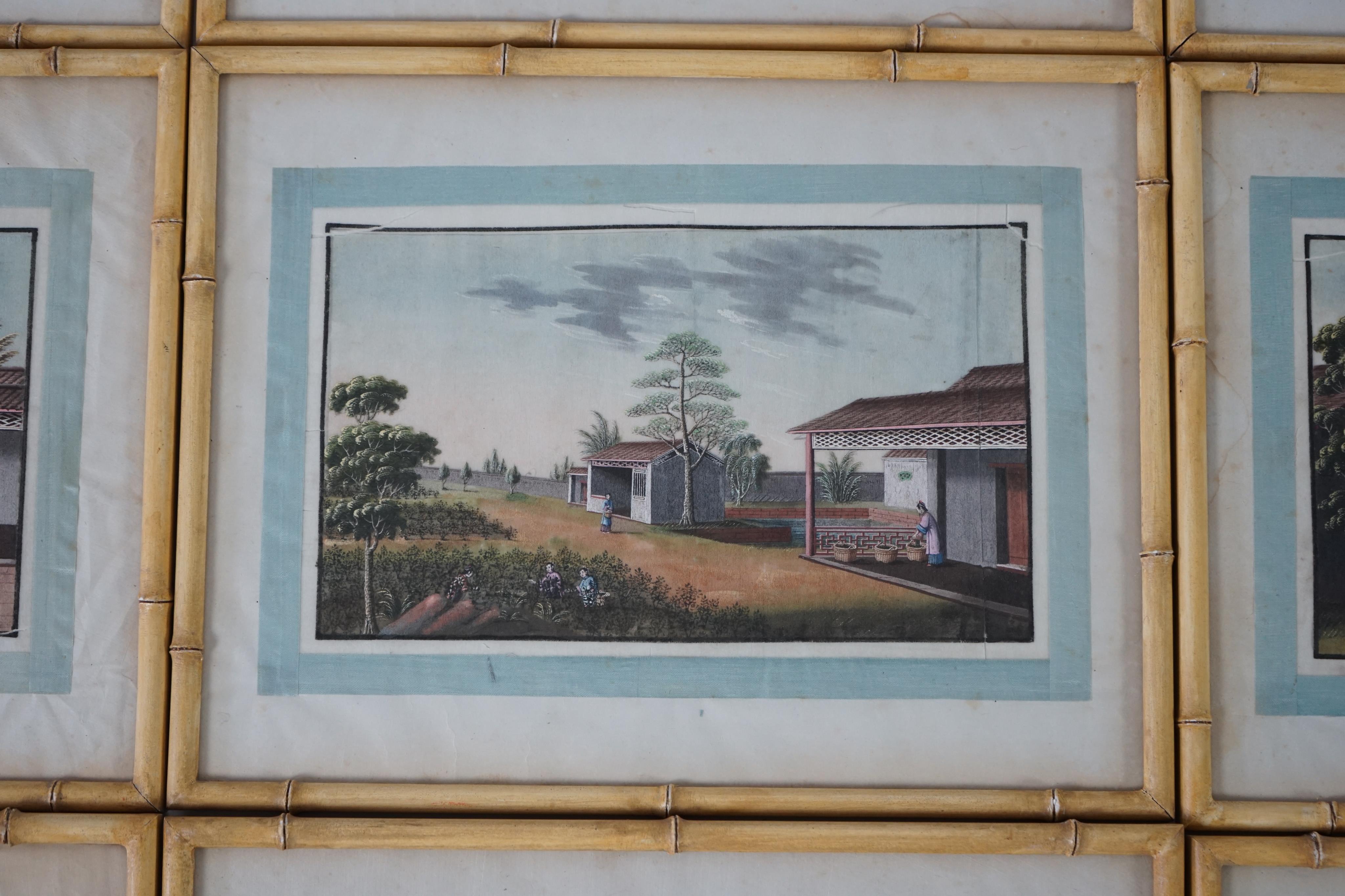 A set of twelve Chinese gouache paintings on pith paper of tea production, circle of Tingqua c.1840